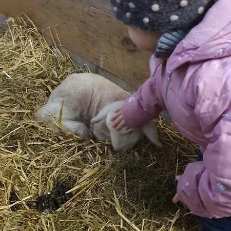 Hinterreithlehen - Am Bauernhof