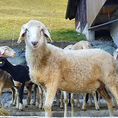 Lejlighed Hinterreithlehen - Am Bauernhof