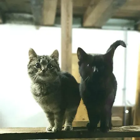 Hinterreithlehen - Am Bauernhof * Mittersill