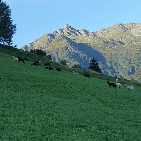 Hinterreithlehen - Am Bauernhof Lejlighed Mittersill
