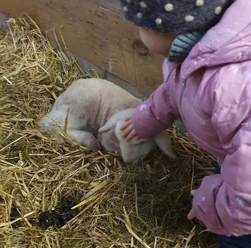 Hinterreithlehen - Am Bauernhof