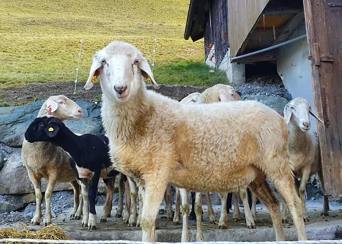 Апартаменты Hinterreithlehen - Am Bauernhof