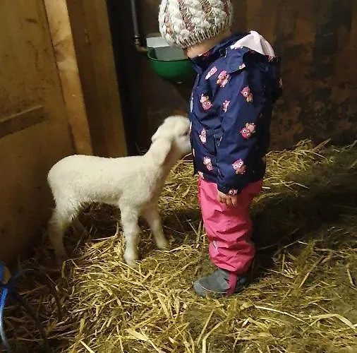 Апартаменты Hinterreithlehen - Am Bauernhof Миттерзилль