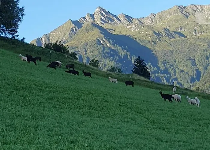 Hinterreithlehen - Am Bauernhof Appartamento Mittersill